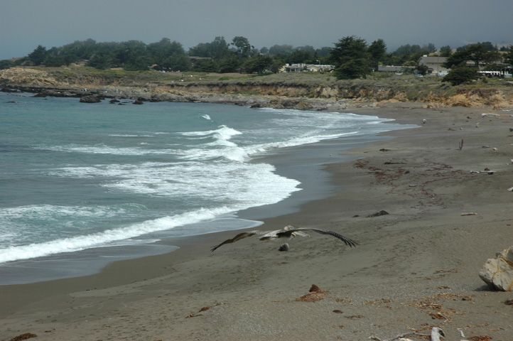 Moonstone Beach 075.jpg